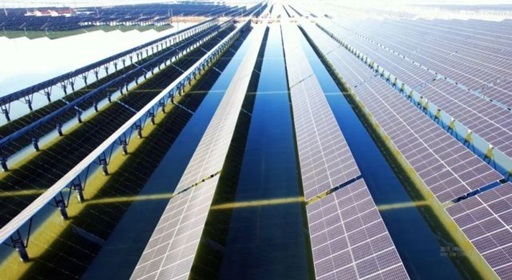 山東?；胶忭?xiàng)目